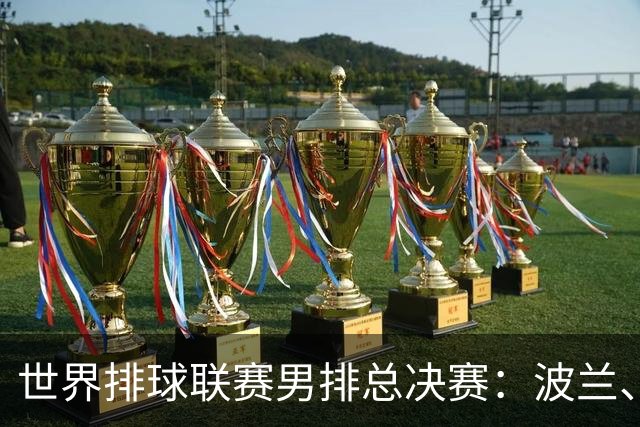 世界排球联赛男排总决赛：波兰、美国会师决赛